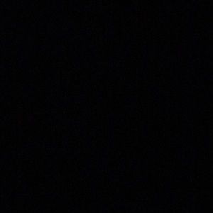 Meet your Posher, Daisy